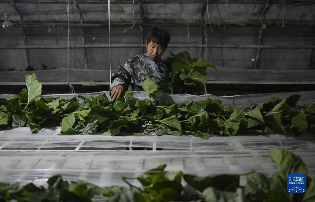开心捕鱼游戏在线玩